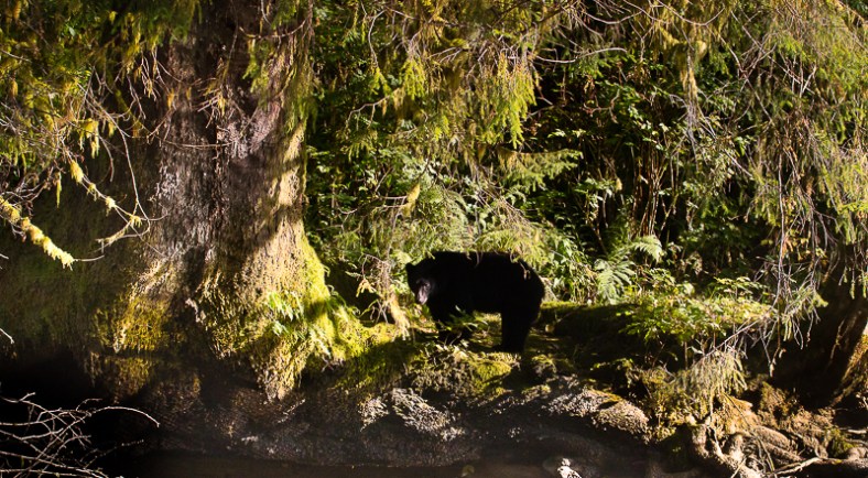 20180905-20171013-IMG_2001