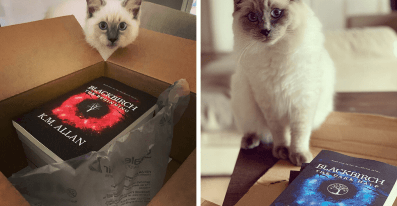 4 Fun Things To Do With The Author Copy of Your Book-1